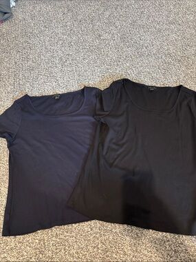 Ann Taylor Classic Scoop Neck Tee - Black and Navy - xlarge
